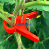Wassermelonen Gemüse Garten Tomatenschnalel Clip Plastik Pflanzenstütze Clip/Werk Direktversorgung Tomatenanlagen Clips Plastiktransplantation Clips